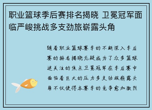 职业篮球季后赛排名揭晓 卫冕冠军面临严峻挑战多支劲旅崭露头角
