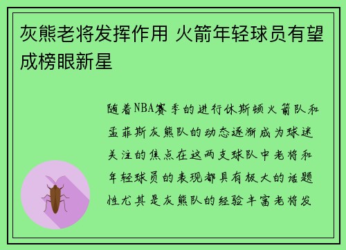 灰熊老将发挥作用 火箭年轻球员有望成榜眼新星